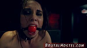 i can't believe this amateur blonde teen 18+ strips on webcam before that wild gangbang squirt session