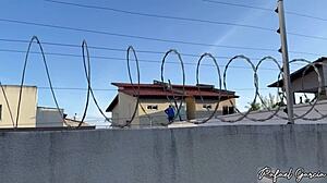 Spotting My Alluring Neighbor Playing In Her Backyard With A Device - Drii Cordeiro