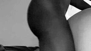 step brother's cheating wife keeps coming back for more—her chubby curves and big ass can't resist my monster black cock again.