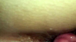 Chupando cuzinho? Oh man, amateurs dive into wild assfucking and anal action together.