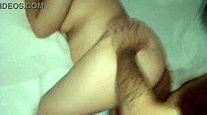 Piranha Gordinha Safada Gives Juicy Pussy To Curvy Prostitute In Hotel With Hard Pov Fucking