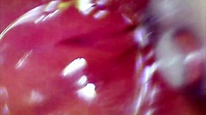 real pussy contractions hit orgasm with sperm visible in juice under microscope view