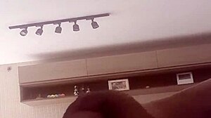 alineflavio update 120 august 08 2024