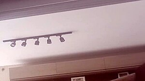 alineflavio update 120 august 08 2024