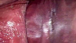 In a quiet home moment, the 18-year-old sister-in-law calls her relative to satisfy her urges through pussy licking and cunilingus.