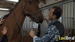 Do you want to see this stable boy pounding a sexy brunette babe hard from behind?