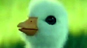 Interviewing commentators part 2 with patito shitpost and soygaulex in detail