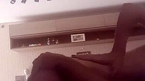 alineflavio update 120 august 08 2024