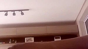 alineflavio update 120 august 08 2024