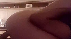 alineflavio update 120 august 08 2024