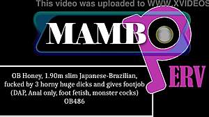 Slim Japanese-Brazilian Babe Takes Three Huge Dicks in DAP Anal with Footjob and Gapes