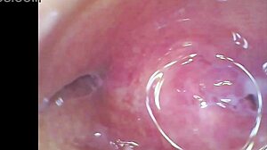 real pussy contractions hit orgasm with sperm visible in juice under microscope view