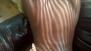 Mr Plus 1 Backshot Compilation with Creampie
