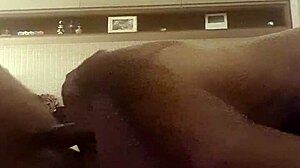 alineflavio update 120 august 08 2024