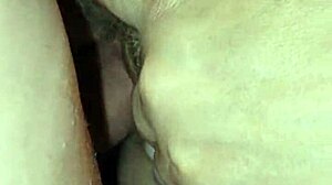 rubbing cum into her cervix trying to get pregnant milf creampie