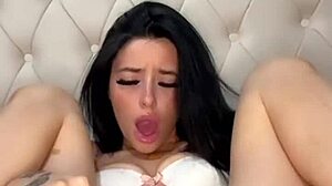 British Exchange Student Solo Play