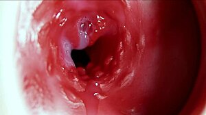 Orgasmone fantastico nell'ano con gemiti e sperma anale sul culo 😍🍆