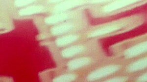 The triumph of birth brings passionate reality moments to life