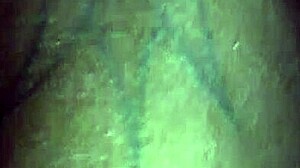 Fun With Cock Sucking and Pussy Play