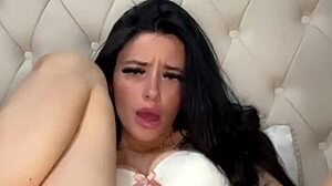 British Exchange Student Solo Play