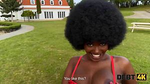 Debt4k Scenario With Small Debt and Intense Encounter