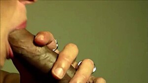 Cougar Gives Sloppy Blowjob And Handjob To Young Black Teen With Cum In Mouth Swallow