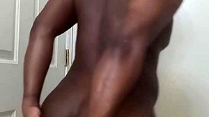 Why does my pet dog teach me clean bathroom habits without anus mess, and can you spot anything unusual?