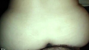 gordita with big ass feels hot