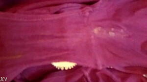 Hey, check out this Victoria Secret underwear