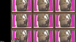 hey, you wanna see me drying off my sexy bbw body and showing it all pre?