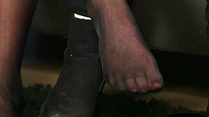 smalltits british babe drops to her knees and sucks cock pov until facial cumshot explodes