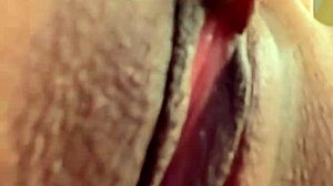 Ela Gritou Dizendo Meu Nome Rosa Vermelha