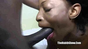 petite chocolate safarri tiger how do you handle banging that booty with bbc in group action