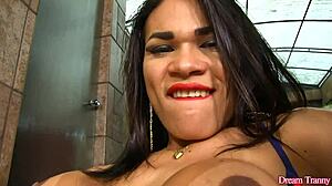 Sexy Big Tittied Latina Tranny Erika Lee Strokes Her Cock