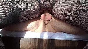 Girlfriend rides cock in reverse cowgirl and fishnets