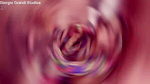 Veronica Leal takes monster tap 5on1 with deep anal and cum swallow 😈🍑