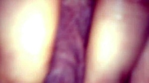 Busty Blonde Masturbates with Anal Plug for Tight Pussy Orgasm and Creampie Finish