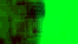 Nefer and Lauma dive into wild group adventure together