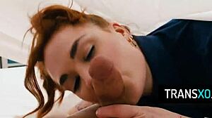 Curvy Babe Experiences Wild Threesome with Two Seductive Shemales on Mattress