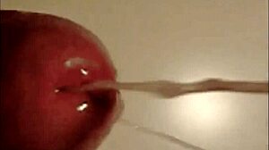 Hey girls, dont you just wanna swallow all that sexy cum tonight?