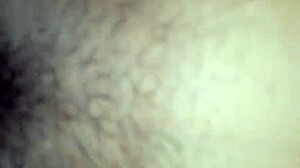 Comendo a esposa gostosa de d in amateur session