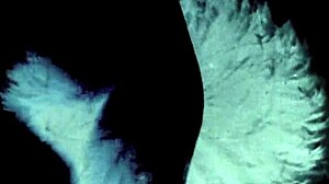 DARK LANTERN ENTERTAINMENT PRESENTS TWO CENTURIES OF VINTAGE PORN!