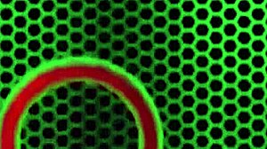 Carmella clutch twerks on big cock with lingerie and dirty talk