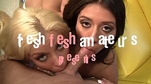 Blonde shay golden and latina jynx maze contrast in ffm 3some with creampie cumshot ass licking