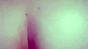 safados casal devora esposa de quatro com novinho rola guloso