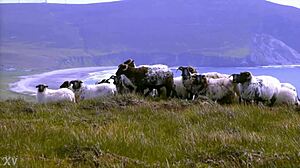 Group exhibition of 26 edenists at Tate Modern