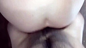 i'm fucking my busty culona tetona not-sister in doggystyle