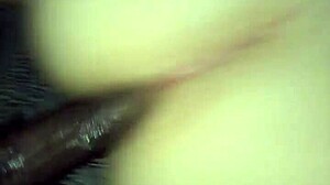 Bbc Pounds Big Booty Latina Ass Wet And Hard