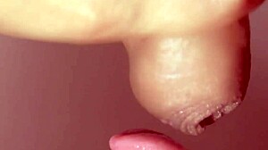 hey watch this close-up amateur asian blowjob ending in facial cumshot and cum in mouth...