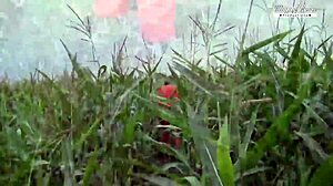 Stepbrother prisoner escapes into forbidden family threesome